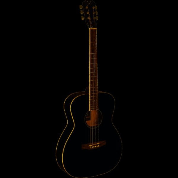 Guitarra acústica James Neligan BES A BK