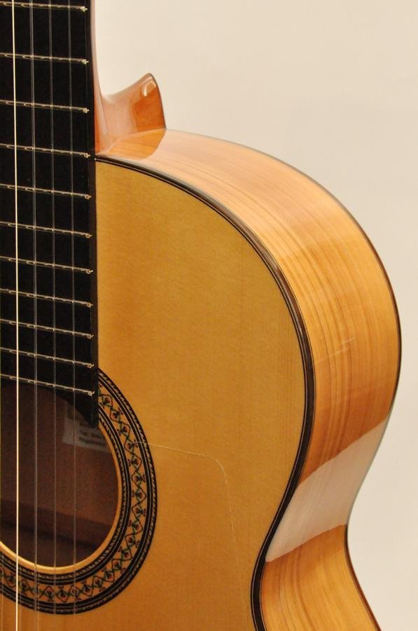 Guitarra Flamenca M5S