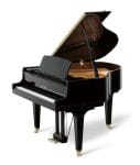 KAWAI GL-10