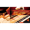Piano de Cola SHIGERU KAWAI SK-2 - Imagen 9