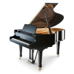 SHIGERU KAWAI SK-2