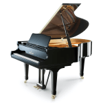 SHIGERU KAWAI SK-3