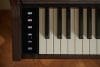 CASIO Celviano AP-S450BN