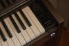 CASIO Celviano AP-S450BN