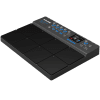 NUX DP-2000
