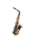 Saxofón alto TAYLOR COLLINS TCAS-07