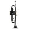 Trompeta TAYLOR COLLINS TCTR-09 - Imagen 5