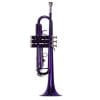 Trompeta TAYLOR COLLINS TCTR-09 - Imagen 6