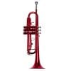 Trompeta TAYLOR COLLINS TCTR-09 - Imagen 7