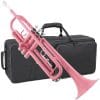 Trompeta TAYLOR COLLINS TCTR-09 - Imagen 3