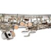 Saxofón alto TAYLOR COLLINS TCAS-09 Plateado - Imagen 3