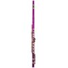 Flauta travesera TAYLOR COLLINS TCFL-538DB - Imagen 6