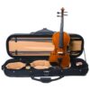 Violín F. Müller Virtuoso - Imagen 4
