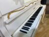 Schimmel Baroque(Ocasión) - Imagen 3
