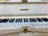 Schimmel Baroque(Ocasión) - Imagen 2