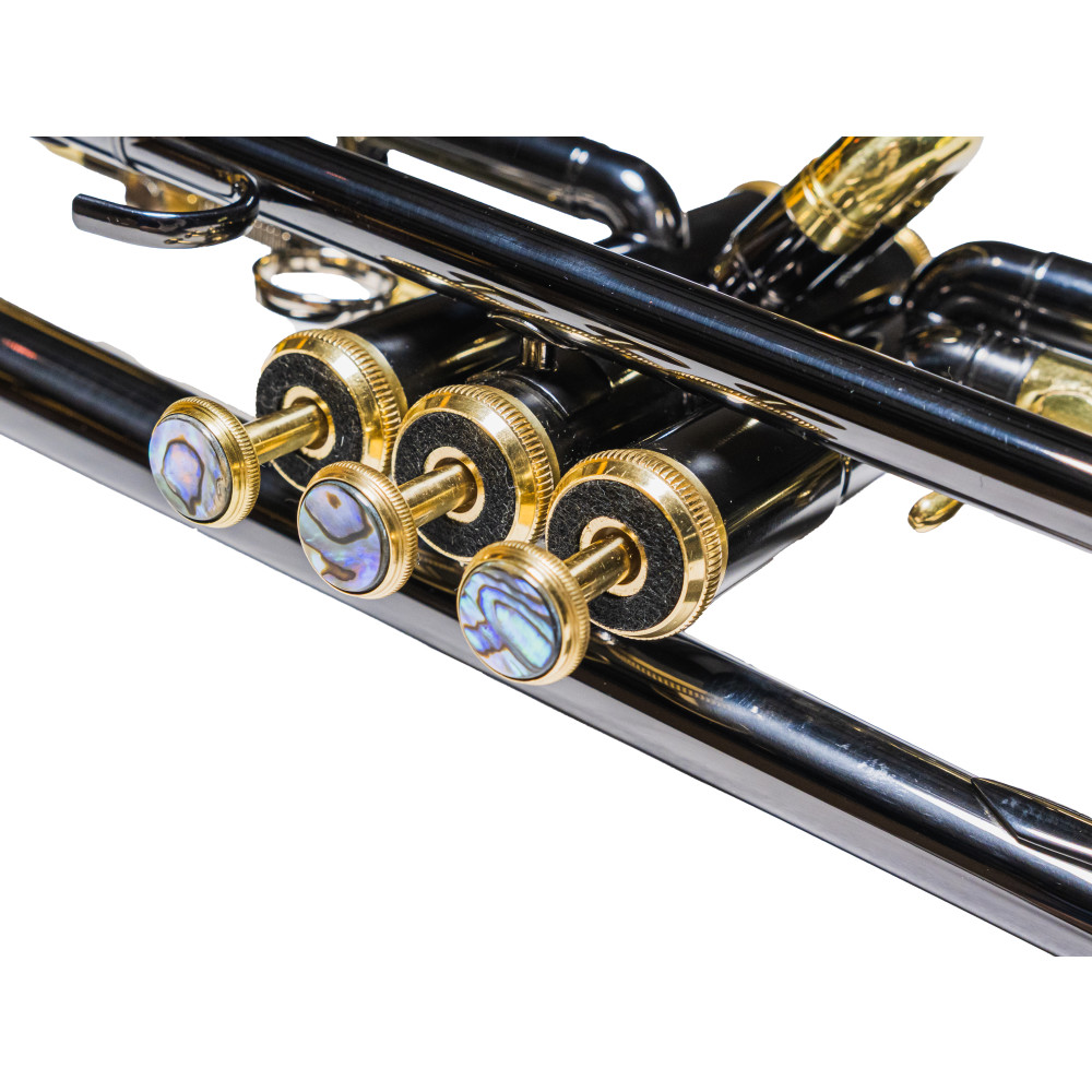 5215353-1 Trompeta Taylor Collins TCTR-97BN - Imagen 2