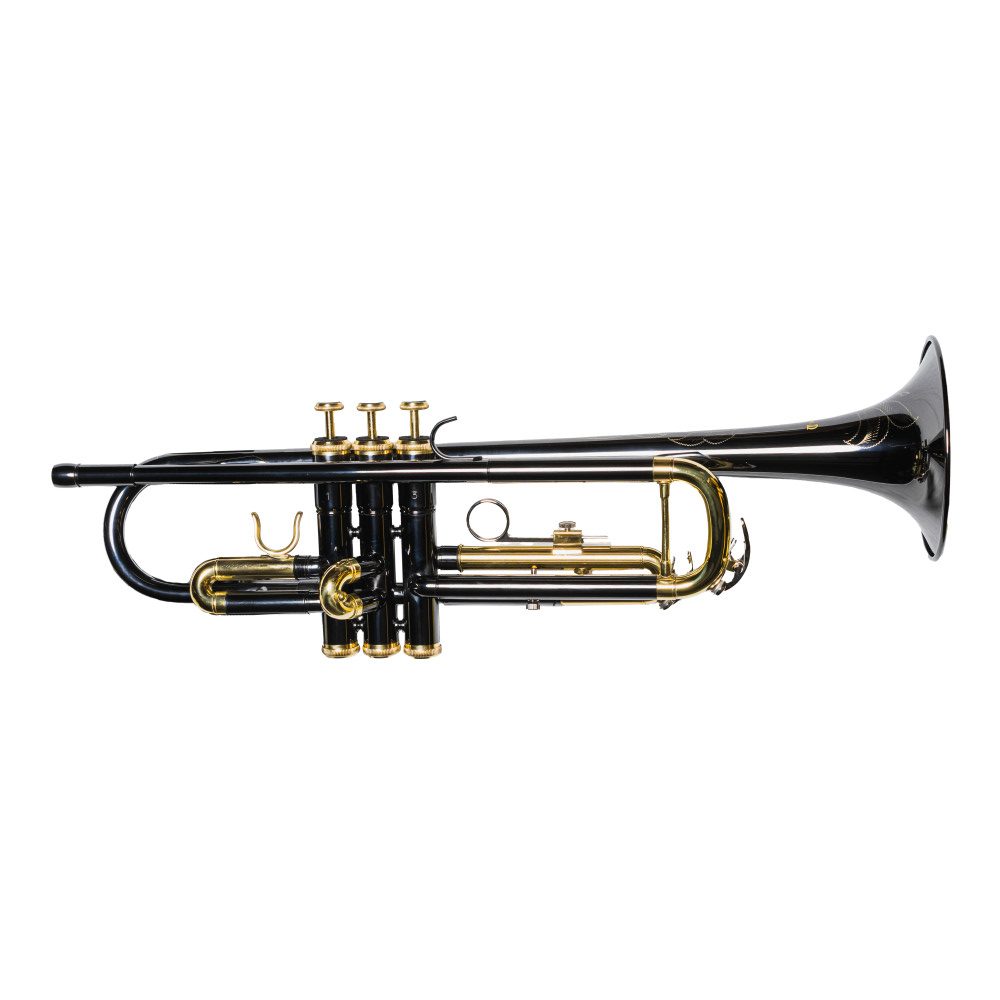 5215353-2 Trompeta Taylor Collins TCTR-97BN - Imagen 1