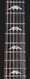 Guitarra electroacústica BROMO BAN8 EVS - Imagen 5