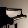 Kawai GL-20 - Imagen 2