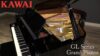 Kawai GL-20 - Imagen 6