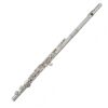 Flauta travesera MIYAZAWA MJII 20RE (MJ101RE)