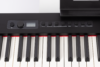Piano digital AMADEUS PA10 - Imagen 2