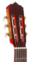 Guitarra flamenca electrificada JOSÉ GOMEZ F80 CEQ - Imagen 2